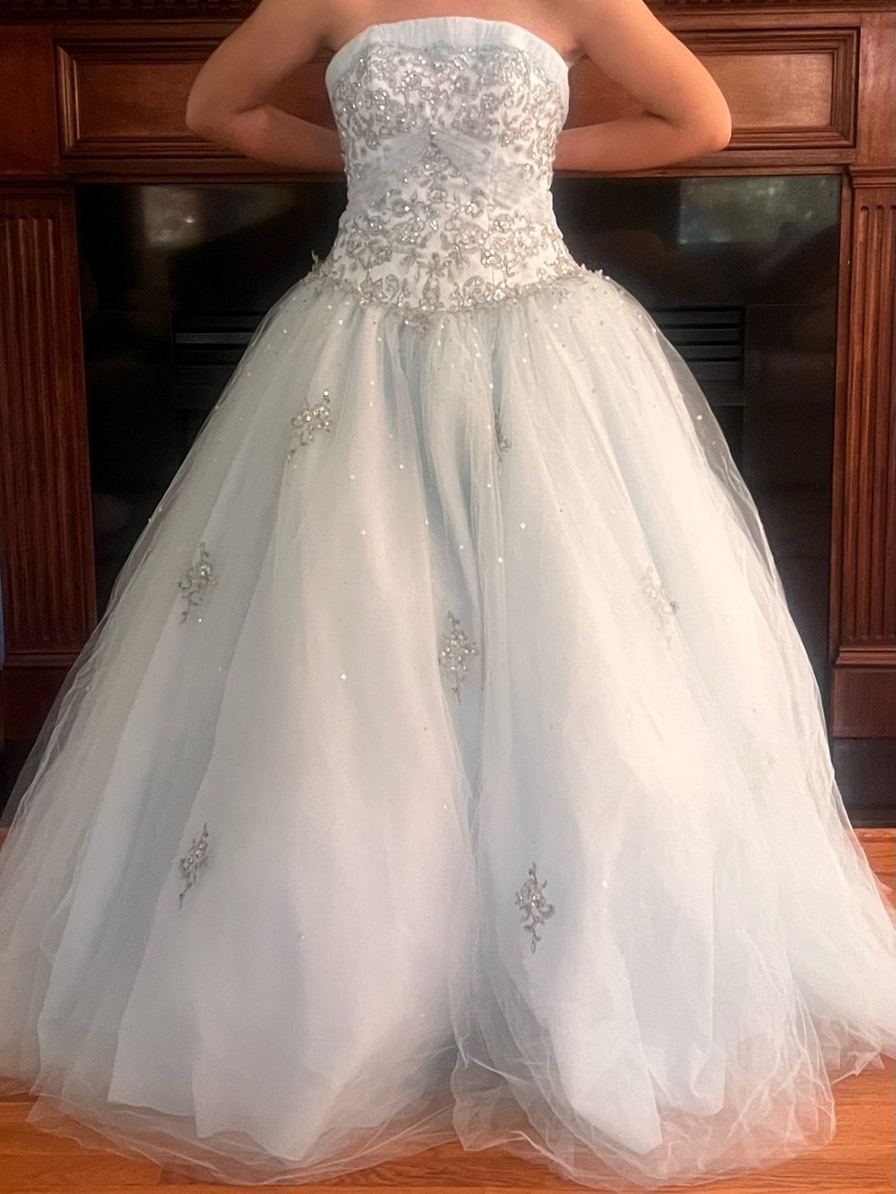 Quinceañera Strapless Beaded Tulle Dress